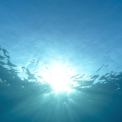 家，一直都在，從沒離開過